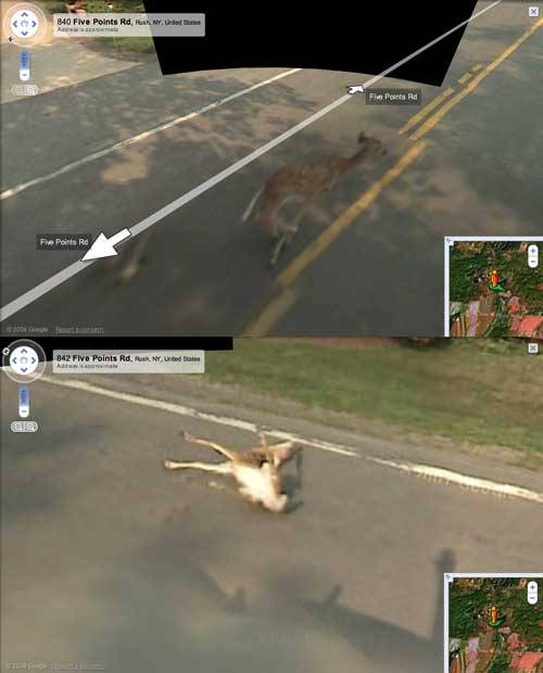 elspethjane: rocketboom: Google Street View Van Hits a 