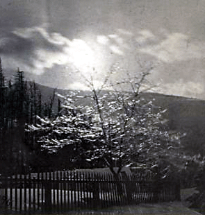 Reaching for the Out of Reach 39: Winter sun in the clouds of the Catskill Mountains, New York, circa 1865. [ more from this project (nypl permalink) ]