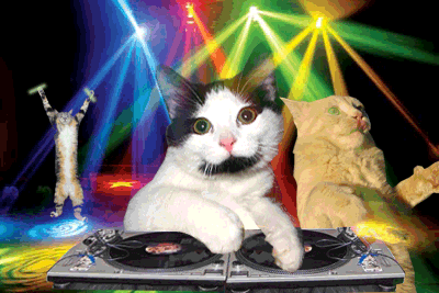 DJ Kitty on the WHEELS OF STEEL!!