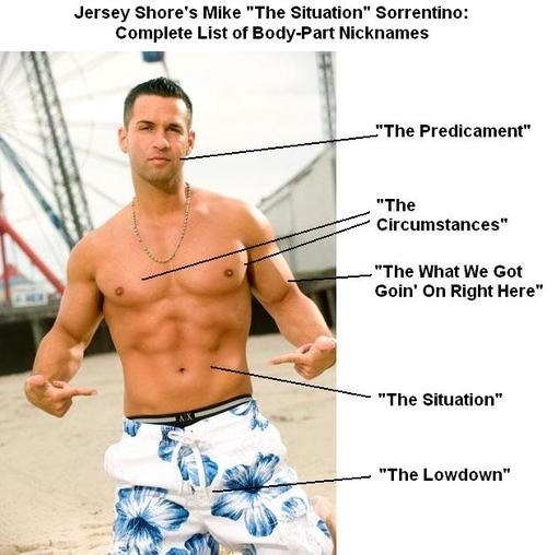 quotes about jersey shore. I love Jersey Shore.