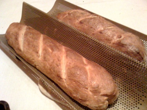 Food processor bread recipes