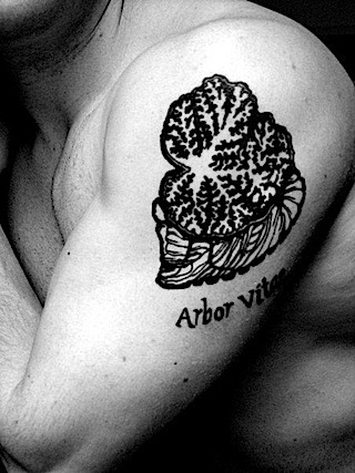tree of life tattoo. This cerebellum tattoo was