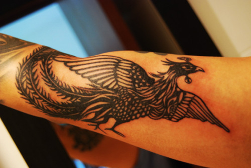 Phoenix Tattoo My most painful so far 8230 located in right inner arm