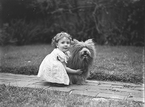 Study of a small girl with a prize Scottish terrier dog, c. 1935 / by Sam Hood (by State Library of New South Wales collection)