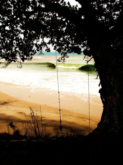 soul-surfer:centralcalswell: whangamata, new zealand