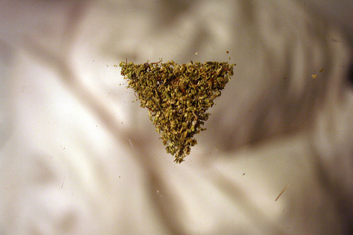 8th of weed. weed. Posted on 8th Jun 10
