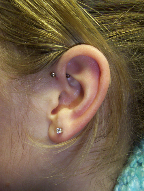 helix piercing stud. Helix, hassle although you performed while working Two small gold studs in