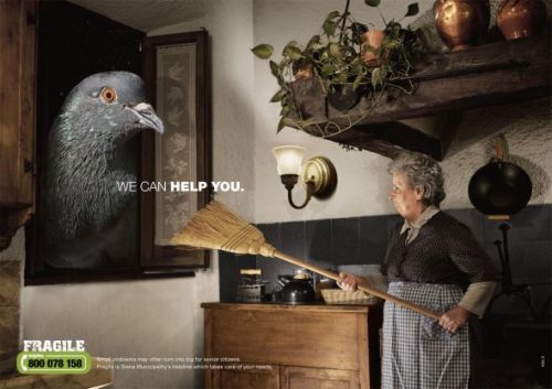 Fragile Municipality of Siena: We can help you, Bird | Ads of the World
