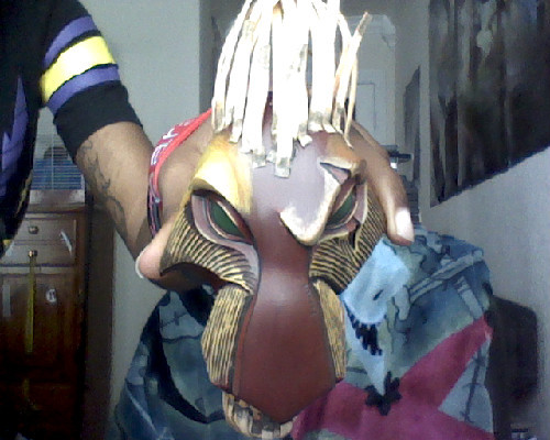 lion king scar mask. I bought this Scar mask when I