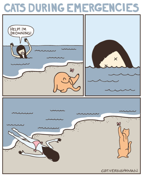 catsbeaversandducks:

Comic by ©Cat Versus Human(via catversushuman)