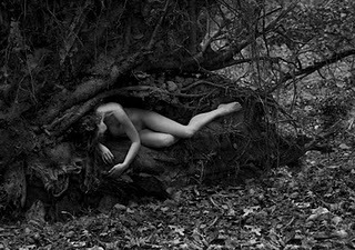 Alan Bassett Photography   ( via art nudes ) - Bonjour Mesdames