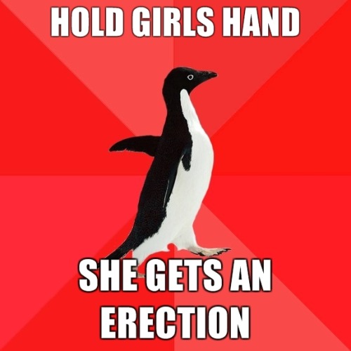 socially awkward penguin meme. #socially awkward penguin