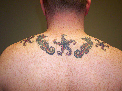 There is nothing quite like a tattoo, and a seahorse tattoo design is 