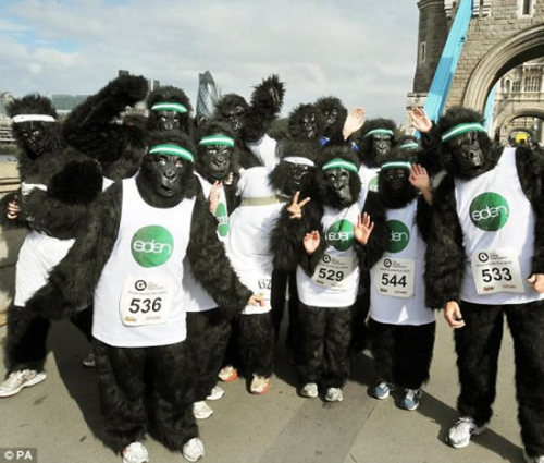 The Great Gorilla Run in London | Crystal Kiss - Strange News and more…