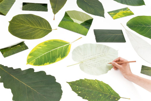 leaf letter by neo-green and eding:post