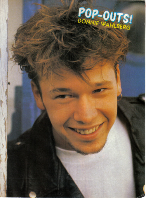 Oh my yes I would love Donnie Wahlberg popouts Were do I donnie wahlberg