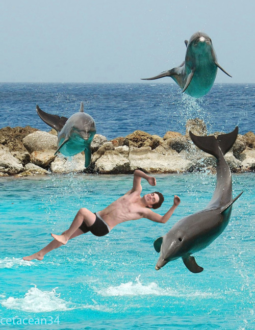 so happy and free… 

——-

Jumping Rob swims with the dolphins.