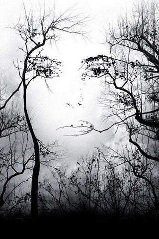 The sound of the breeze, whispering through the leafless trees, glided to her waiting ear…