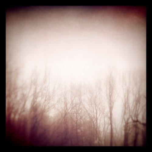 Happy fogday (Taken with instagram)