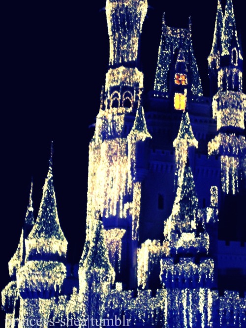 walt disney world castle at night. Cinderella Castle at night.