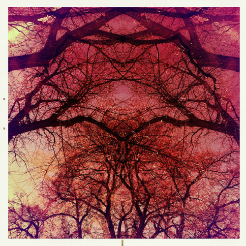 Endless branching (by Jon Armstrong)
