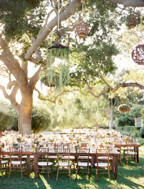 I had to reblog this beautiful outdoor wedding