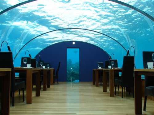 Poseidon Undersea Resort. Posted 1 month ago. 261.