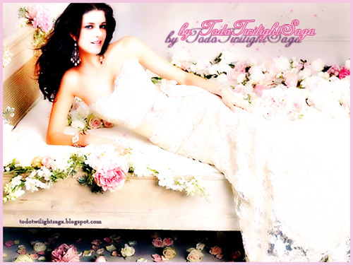Fanmade: Bella Swan wedding dress