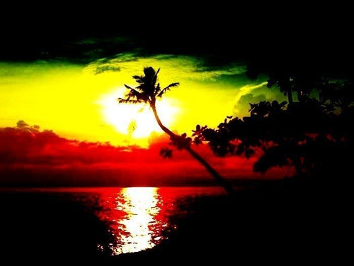 O reggae não é pra se ouvir é pra se sentir. Quem não o sente não o conhece.&#160;!