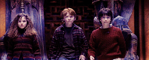  
Hermione: “You said to us once before that there was time to turn back if we wanted to. We’ve had time, haven’t we?”Ron: “We’re with you, whatever happens mate.”