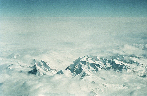 The Alphs (by Nanó Wallenius)