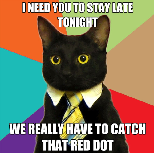 business cat red dot. Business Cat - Red Dot