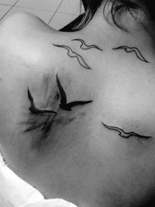 back tattoo birds seagulls