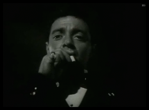 Tagged gif my gif Peter Lorre The Maltese Falcon noir film vintage 