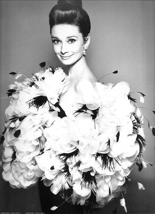 Tags Audrey Hepburn Old Models inmyoldage fashion style Icon Actress Beauty