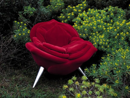 homedesigning:

The rose chair
