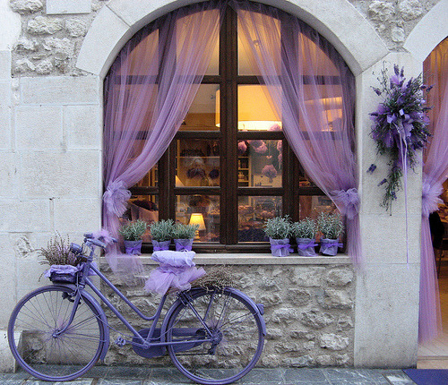 raspberrytart:

The annual lavender festival (Celebrating the lavender harvest) (by Ingrid0804)
