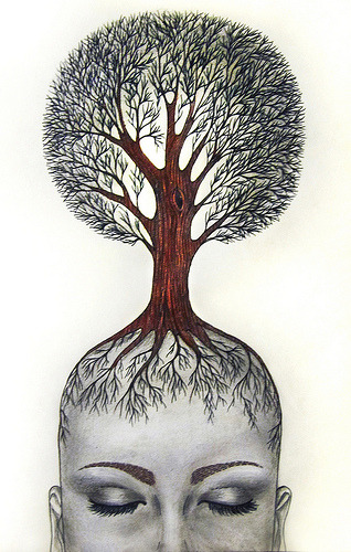 tree drawing with roots. il y a 1 mois roots woman tree