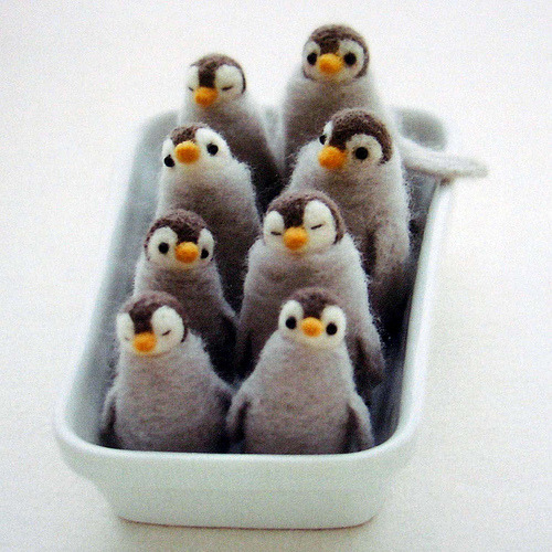 cute pics of penguins. 8 felt? penguins in a