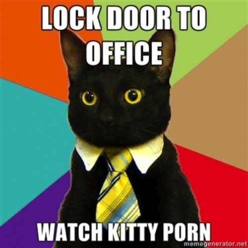 business cat meme. Posted at 8:00 AM 2 notes Permalink ∞ Tags: usiness cat meme cat