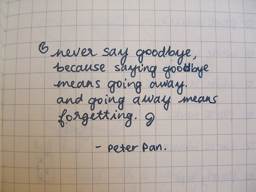
Nunca diga adeus.  Porque para dizer adeus precisa ir embora e ir embora significa esquecer. 

Peter Pan
