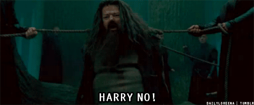 luancortes:

Harry, no!
