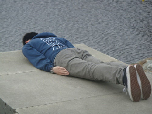 planking game death. pictures planking, planking game, death funny planking game.