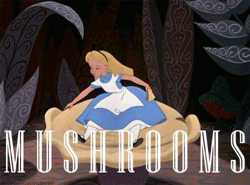 Mushrooms - Alice in Wonderland