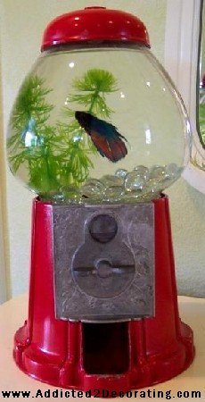 DIY Gumball Fishbowl
So I’ve been thinking of getting a beta fish for my room and didn’t want to just put it in a bowl or glass vase. So I started looking around for some crazy ideas for fish bowls and I came across this one. I think I’m going to do this once I find an old gumball machine. Who would have thought to use an old gumball machine for an aquarium! 
How to instructions: http://www.addicted2decorating.com/diy-project-accessories-gumball-machine-fish-bowl.html