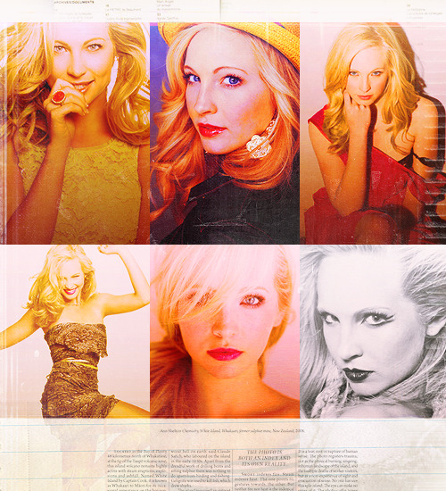 oceanwide Top 6 Pictures Candice Accola
