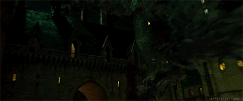 aparatou:-Harry Potter e as Relíquias da Morte: Parte 2 [2011]
