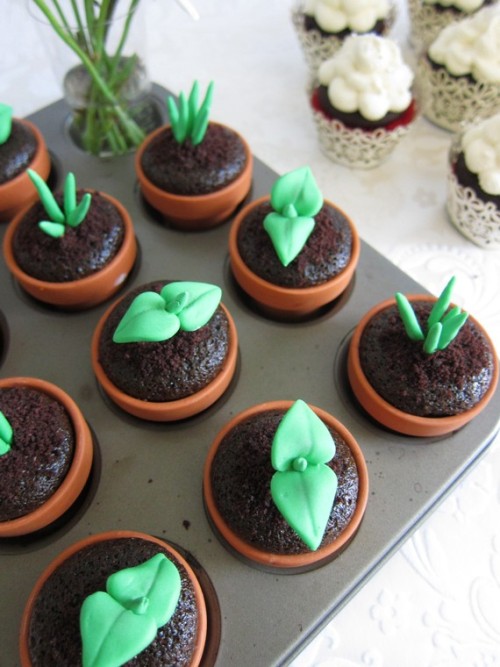 flower pot cupcakes!
