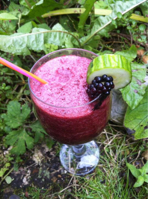 anaistodiefor:

thereluctantrawfoodist:

My cucumber and blackberry smoothie this morning.

Looks DELICIOUS!

yummy! i am going to try that tomorrow or something. 
