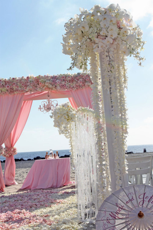 meaghanmonroe:

(via Very pretty in pink: Hotel Del Coronado beach wedding | San Diego Wedding Blog)
